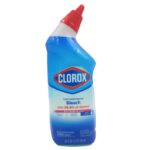 Clorox Toilet Bowl Cleaner with Bleach Rain Clean 24oz
