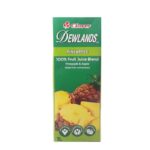 Clover Dewlands Pineapple Juice 1L