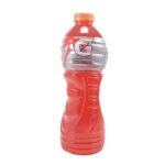 GATORADE FRUIT PUNCH 1LT