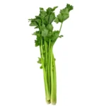 Celery Bundle