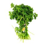 Parsley Imported