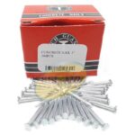 Fuh Guang Superior Concrete Nails 1" 100Pcs.