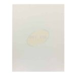 Bristol Board Stag Sheets 22" x 28" White