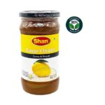 Shan Mango Chutney 400g