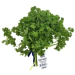Parsley Imported