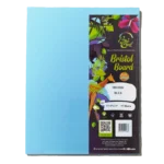BriCha Bristol Board, Blue (25 Sheets)