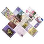 Ace Greeting Cards - Image 4