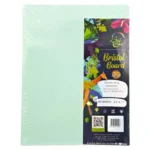 BriCha Bristol Board, Assorted (100 Sheets)