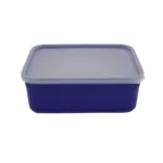 Container With Lid (2 Litre)
