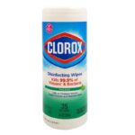 Clorox, Disinfecting Wipes (35 Wet Wipes)