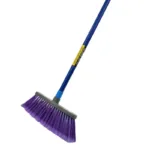 Broom With Handle Economica