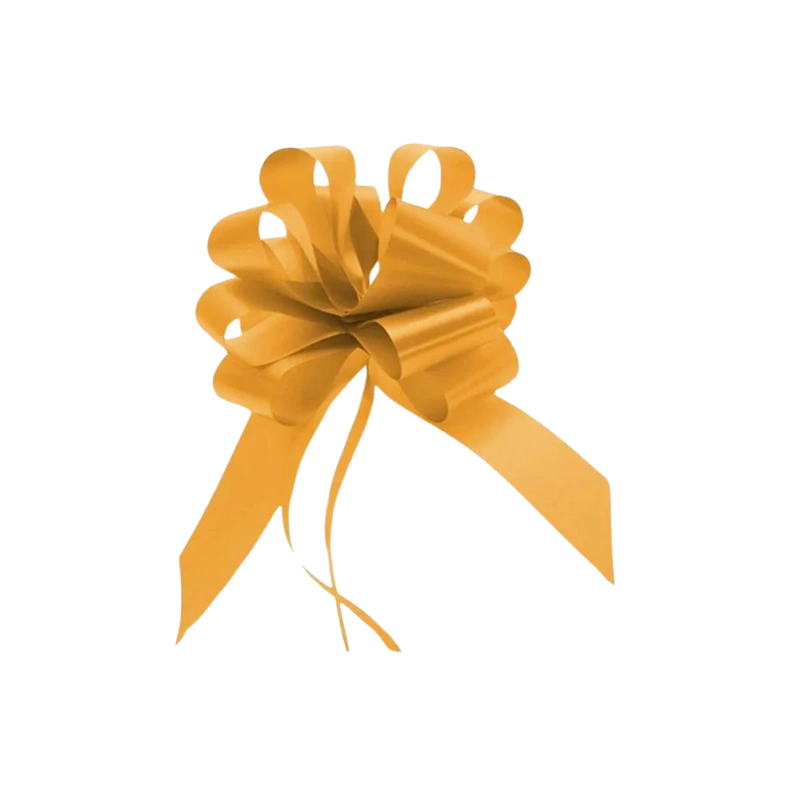 80396816005 Decorative Pull Bow, Assorted (L) - Image 1