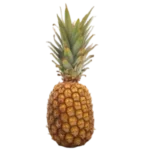 Pineapple- Price per lb