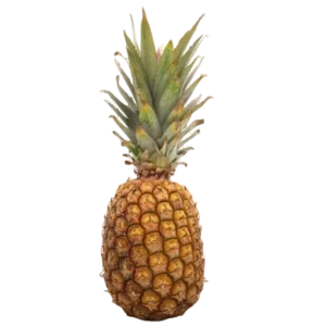 Pineapple- Price per lb