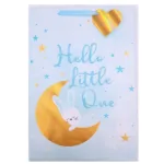 Gift Bag Little One (17.5" x 12")