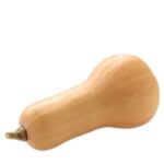 Butternut Squash - Price per lb