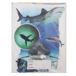 Copy, Book Single Line (12 Pack)