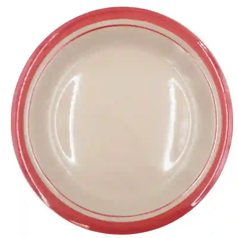 71704065531 Dinner Plate 10.5 Inch Pattern - Image 1