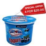 Flavorite, Blueberry Yogurt (110g)