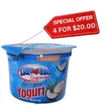 Flavourite, Coconut Yogurt (110g)
