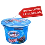 Flavourite, Mix Berry Yogurt (110g)