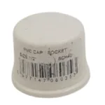 Pvc Cap Socket 1/2"