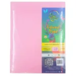 BriCha, Bristol Board Mixed (100 Sheets)