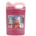 Bliss Rust Remover (4 liter)
